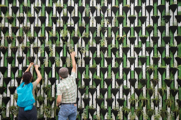 Automazione ESG: efficienza e sostenibilità per aziende